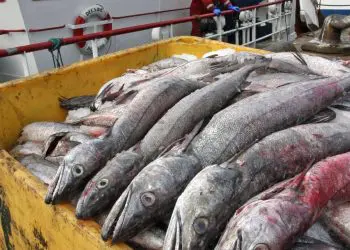 France insists on fishing rights in UK waters post-Brexit