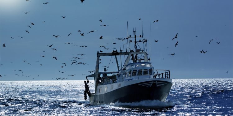 professional fisherboat with many seagulls come back in the harbor