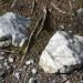 Close-up of quartz core rocks in the norwegian forest