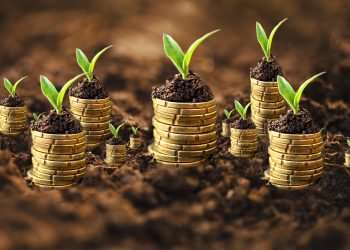 Golden coins in soil with young plant