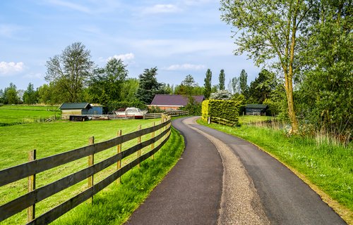 Village road in rural area landscape