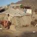 Taiz, Yemen- 04 Feb 2021 : Yemenis who were displaced from their villages after being forcibly expelled by the Houthi militia west of Taiz