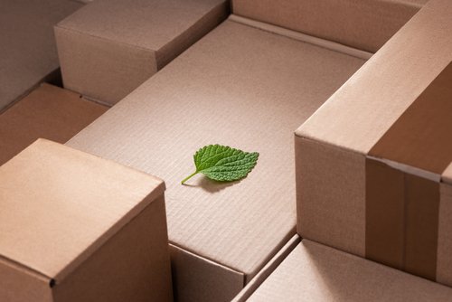 Fresh green leaf laying between cardboard boxes. Environmental costs of shipping deliveries. Concept of carbon neutral shipment.