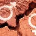 Gender symbols on earth background with a big crack, gender gap concept