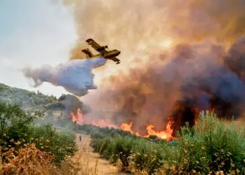 Peloponnese, Greece, 05 August 2021: A firefighting plane releases its load of water as it tries to extinguish a fire in Xelidoni village in the area of Ancient Olympia