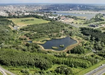 natural-swimming-pond