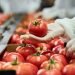 Cropped,Photo,Of,An,Employee,Conducting,The,Fresh,Produce,Quality