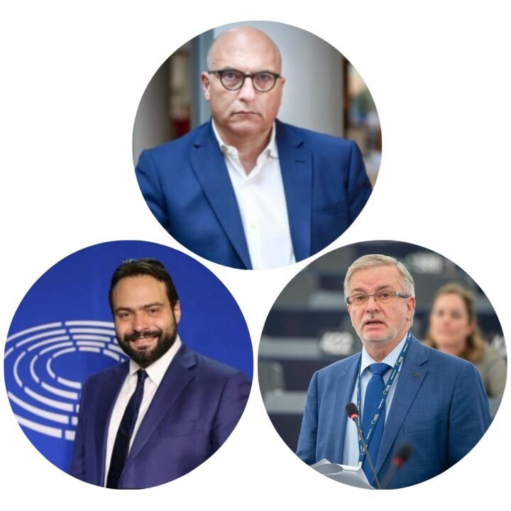 Fabio Massimo Castaldo Andrea Cozzolino Michael Gahler