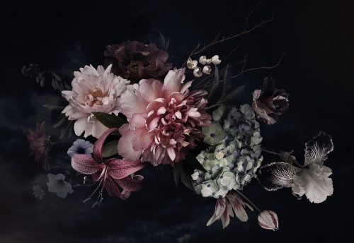 Vintage,Flowers.,Peonies,,Tulips,,Lily,,Hydrangea,On,Black.,Floral,Background.