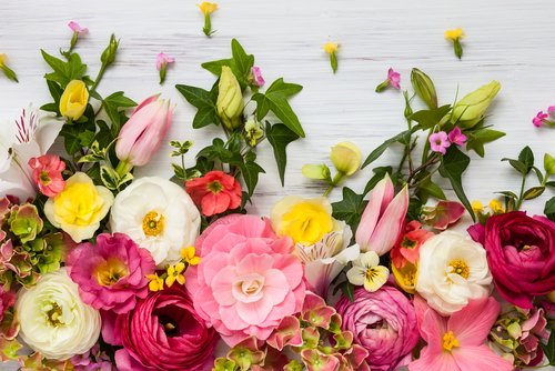 Flowers,Frame,On,White,Wooden,Background.,Top,View,With,Copy