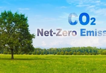 Co2,Net-zero,Emission,Concept,Against,A,Forest,-,Carbon,Neutrality
