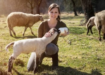 Woman,Is,Feeding,A,Lamb,With,Bottle,Of,Milk,,Concept