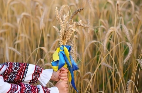 A,Bouquet,Of,Wheat,Spikelets,Tied,With,A,Yellow,And