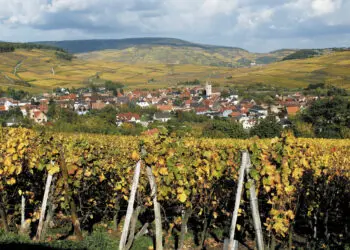 68 HAUT-RHIN
ROUTE DES VINS D'ALSACE / AUTOMNE
ORSCHWIHR (VILLAGE)
VIGNES
