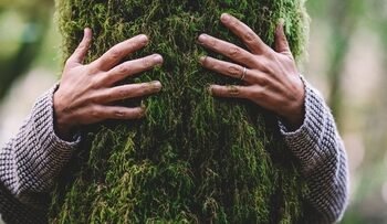 Nature lover hugging trunk tree with green musk in tropical woods forest. Green natural background. Concept of people love nature and protect from deforestation or pollution or climate change