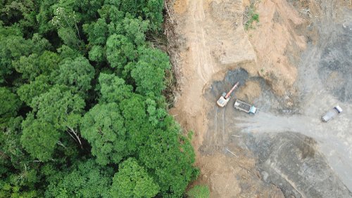 Deforestation,Aerial,Photo.,Rainforest,Jungle,In,Borneo,,Malaysia,,Destroyed,To