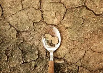 World Food Problem Concept. Environmental Impact. Food Shortage ,Global Issues in Agricultural Food Production. Cracked Soil, Desertification, Water, Pollution, Energy and Climate Change