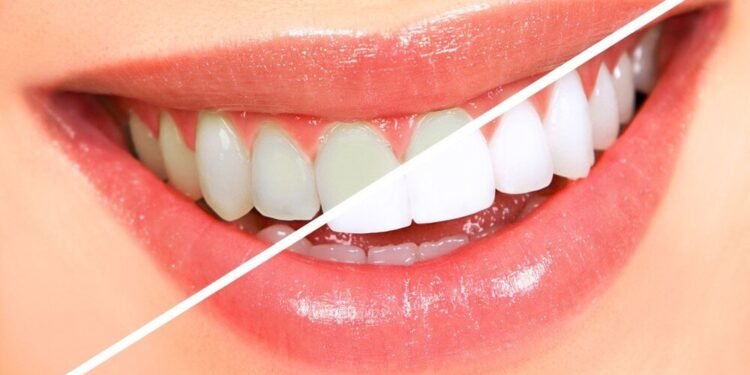 ccdental.com.au
