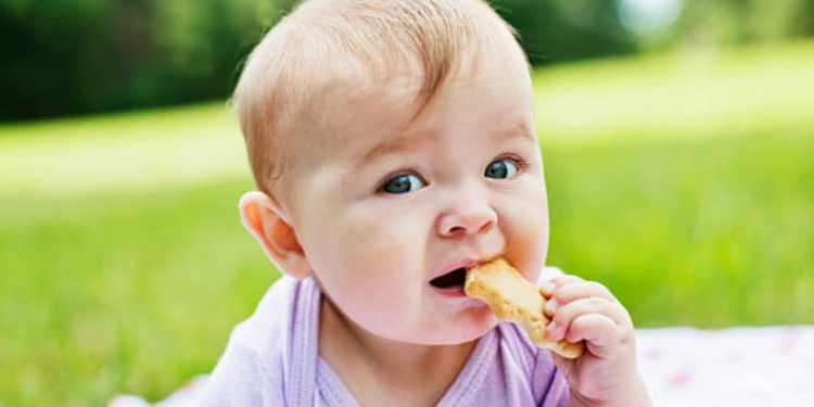 Are Teething Wafers Safe