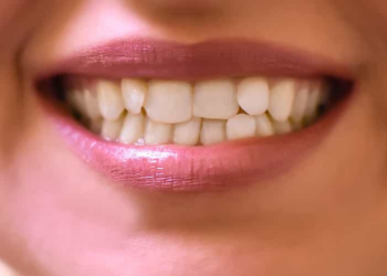 Are Teeth Shaped Genetically