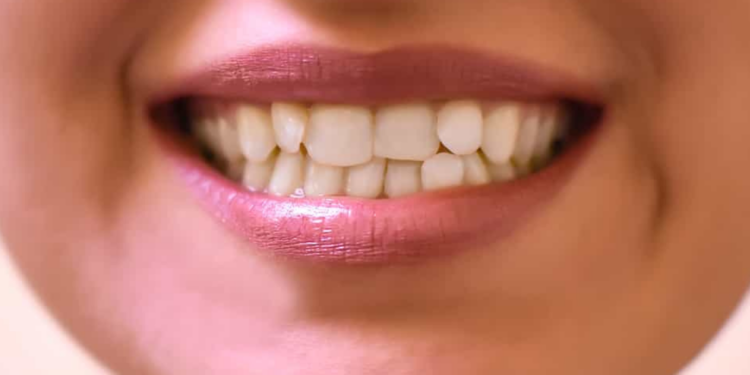 Are Teeth Shaped Genetically