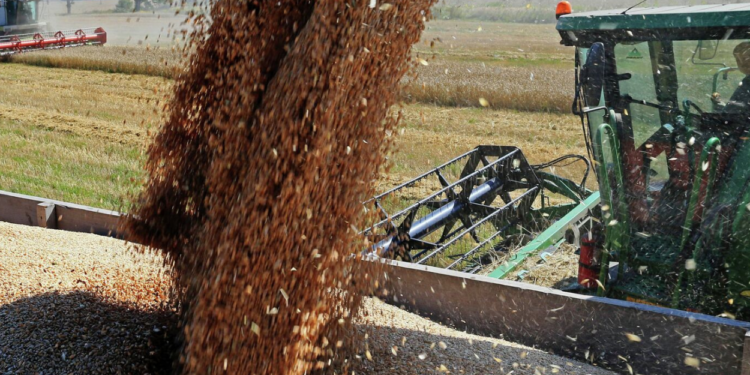 European Commission's Valdis Dombrovskis Addresses Trade Issues Amid Ukraine-Poland Grain Ban