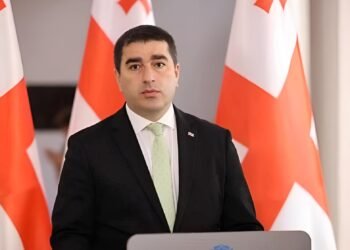 MEPs Urge High Representative for Immediate Action on Georgia