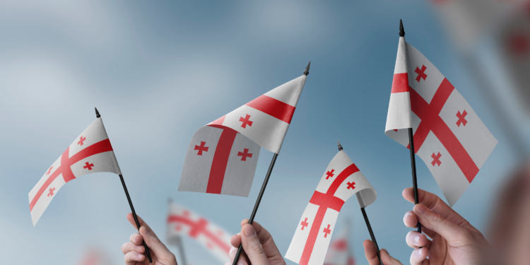 A group of people holding small flags of the Georgia in their hands.