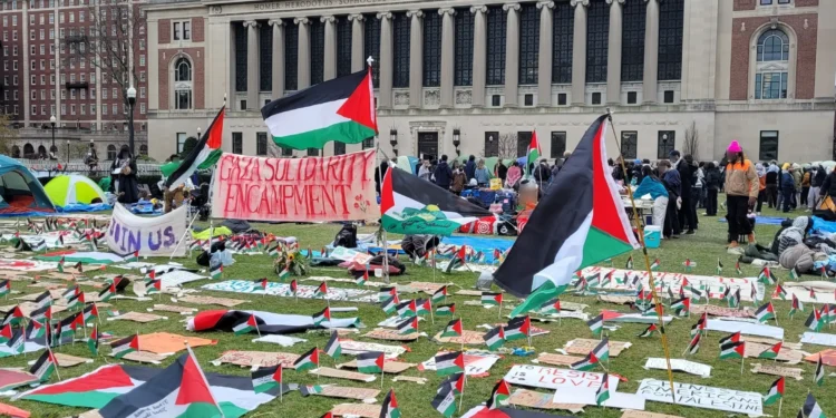 University of Ghent Campus Occupied by Pro-Palestine and Climate Activists